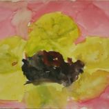 yellow flower.jpg